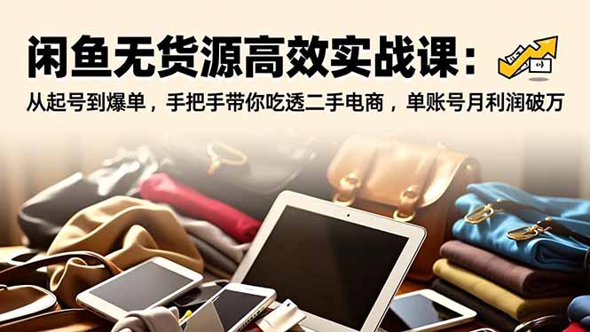 闲鱼无货源高效实战课：从起号到爆单，手把手带你吃透二手电商，单账号月利润破万-乐码云集