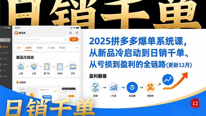 2025拼多多爆单系统课，从新品冷启动到日销千单、从亏损到盈利的全链路(更新12月-乐码云集