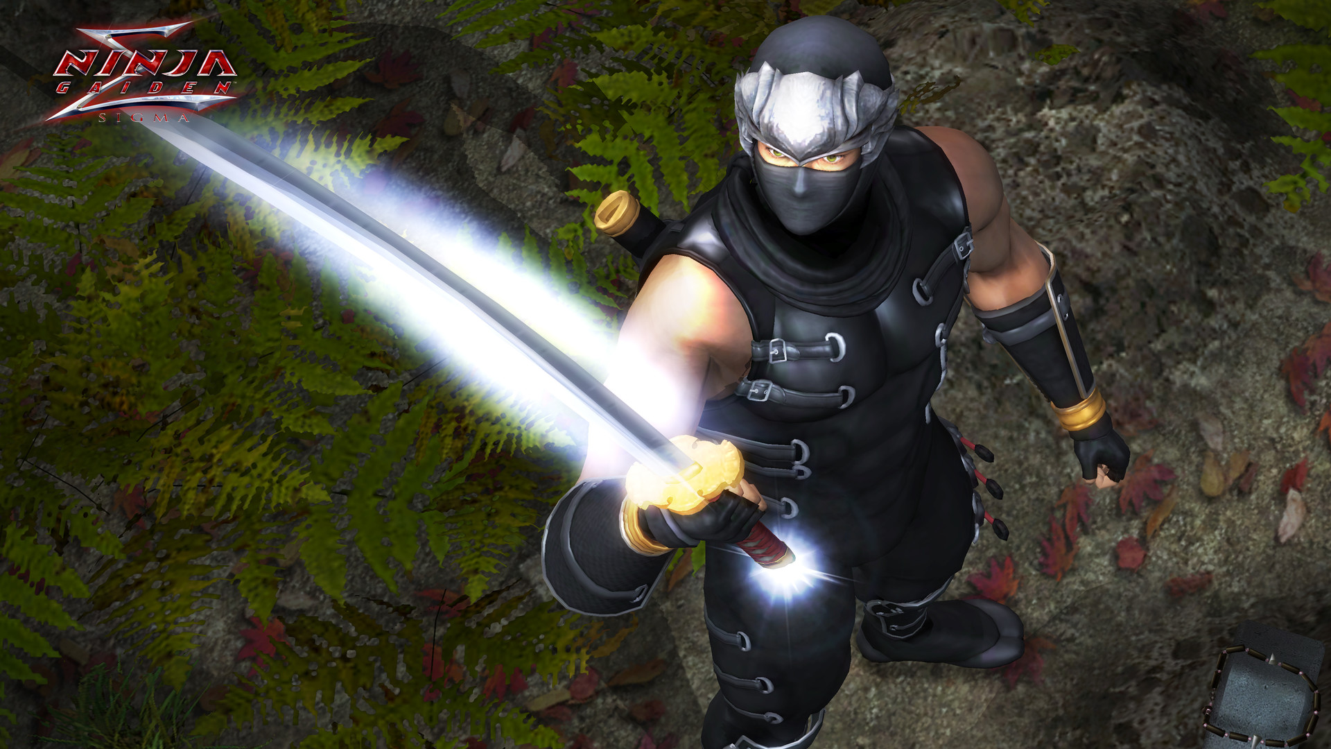 《忍者龙剑传：大师合集/NINJA GAIDEN: Master Collection》PC中文版下载-含v1.0.0.3-乐码云集
