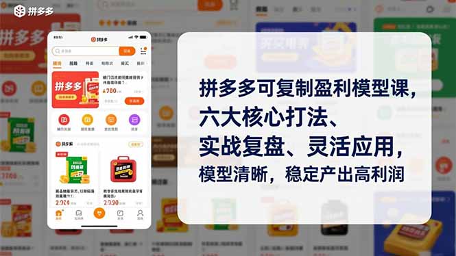 拼多多可复制盈利模型课，六大核心打法、实战复盘、灵活应用，模型清晰，稳定产出高利润-乐码云集