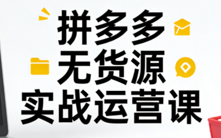 子枫老师·拼多多无货源实战运营课(更新12月)-乐码云集