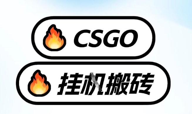 真全网独家CSGO挂G，最新玩法,单日捡漏1K+，不用电脑，不用打游戏【揭秘】-乐码云集
