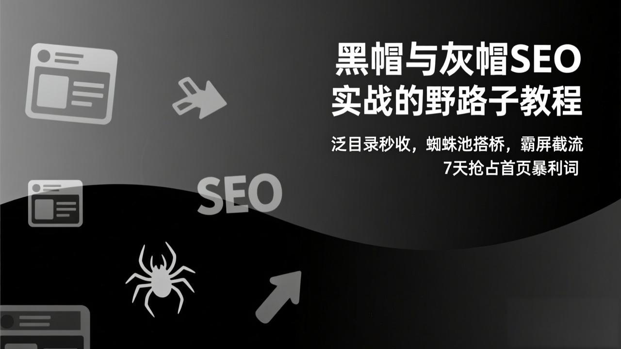 黑帽与灰帽SEO实战的野路子教程：泛目录秒收，蜘蛛池搭桥，霸屏截流，7天抢占首页暴利词-乐码云集