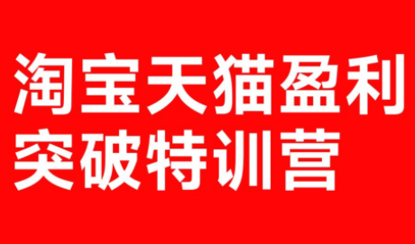 玺承·淘宝天猫盈利突破特训营(25年12月线下课)【音频+字幕】-乐码云集