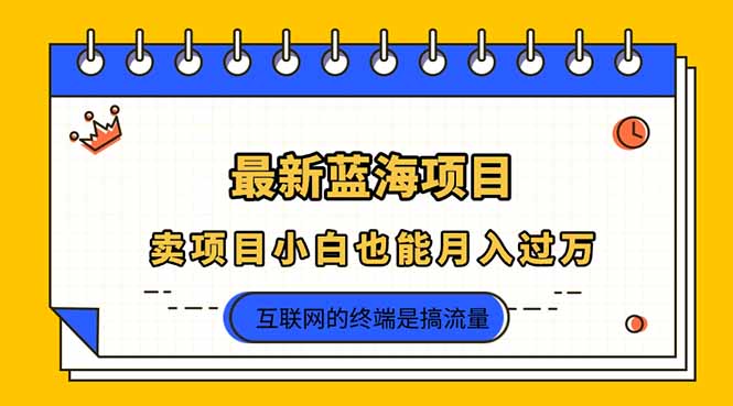 2025年最新蓝海项目，卖项目小白也能月入过万-乐码云集