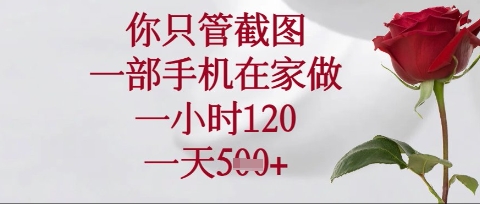 你只管截图，一部手机在家操作，一小时120.一天5张【揭秘】-乐码云集