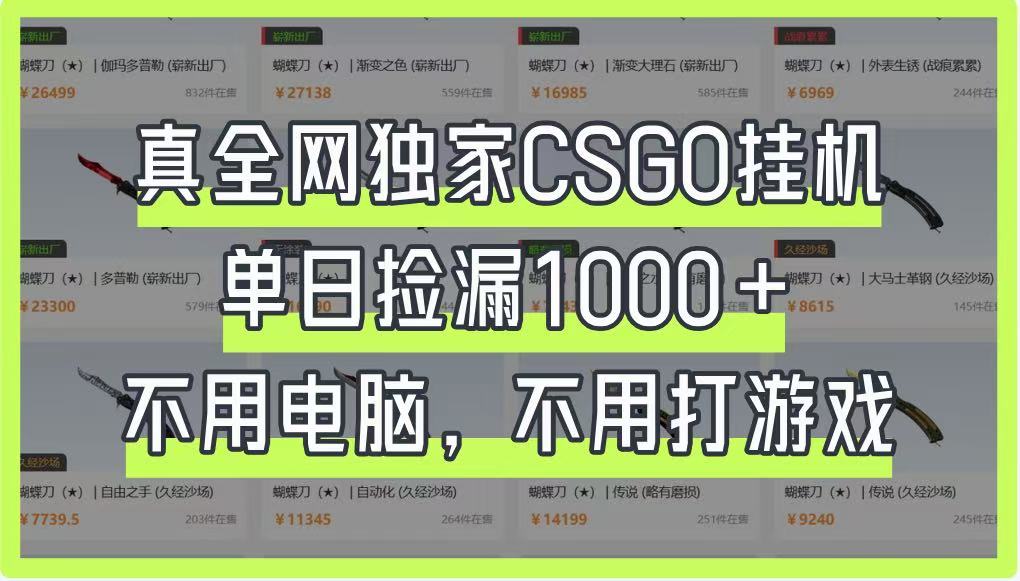 真全网独家CSGO挂机，单日捡漏1000+，不用电脑，不用养号-乐码云集