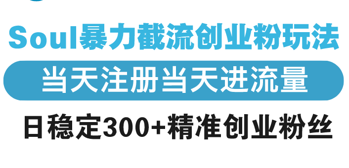Soul暴力截流创业粉玩法，当天注册当天进流量，日稳定300+精准创业粉丝-乐码云集