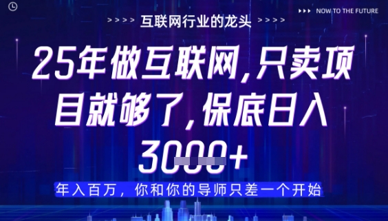 什么！25年你还在找项目做？风口早就变了，卖项目才是稳挣不赔【揭秘】-乐码云集
