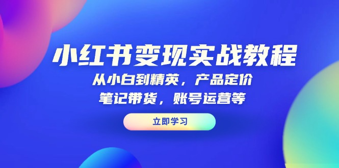小红书变现实战教程：从小白到精英，产品定价，笔记带货，账号运营等-乐码云集