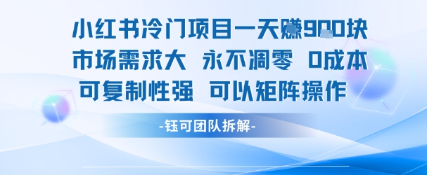 小红书冷门项目一天收益9张，市场需求大，0成本，可复制性强可以矩阵操作-乐码云集
