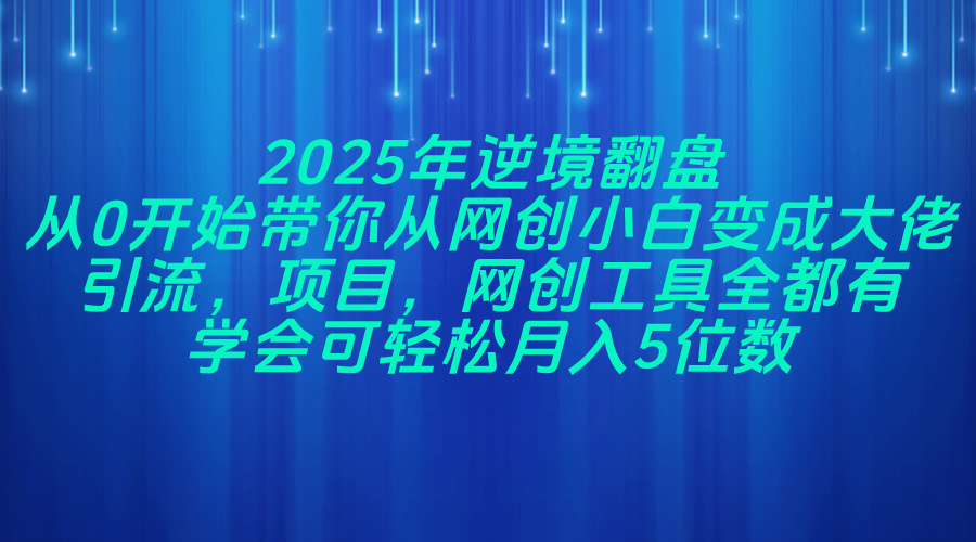 2025年逆境翻盘，从0开始带你从网创小白变成大佬，引流，项目，网创工…-乐码云集