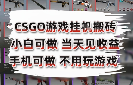 CSGO游戏挂G搬砖，小白纯手机即可操作，不用电脑打游戏，日入3张+，副业网创项目【揭秘】-乐码云集