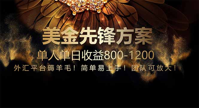 免费技术！小众赛道！一年布局抵三年努力，每日800+-乐码云集