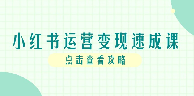 小红书运营变现速成课，账号搭建到暴力起号，个人IP全流程指南-乐码云集