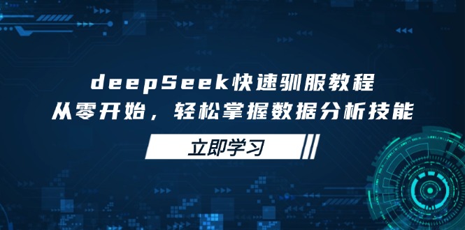 deepSeek快速驯服教程，从零开始，轻松掌握数据分析技能-乐码云集