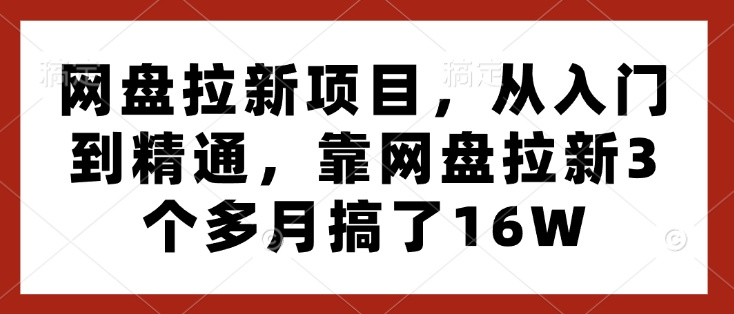 网盘拉新项目，从入门到精通，靠网盘拉新3个多月搞了16W-乐码云集