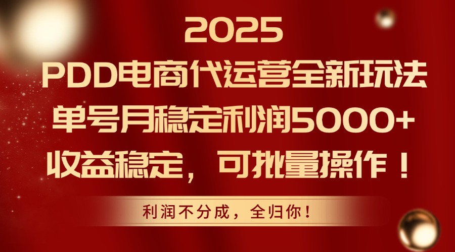 2025PDD电商代运营全新玩法，单号月稳定利润5000+，收益稳定，可批量操作-乐码云集