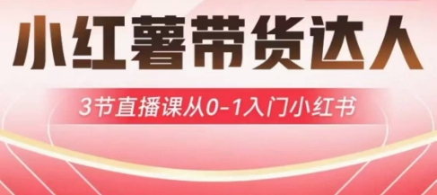 小红薯达人带货启航计划，3节直播课从0-1入门小红书-乐码云集