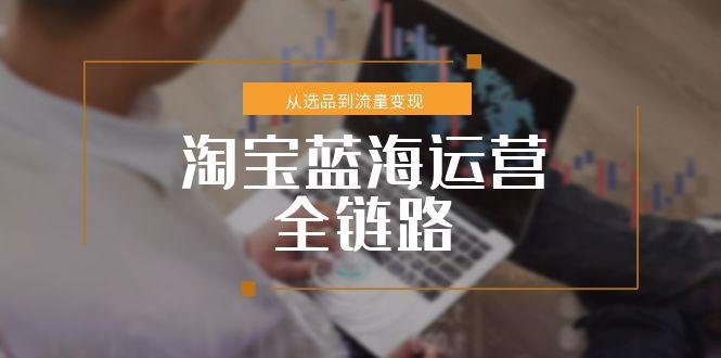 淘宝蓝海运营全链路，从选品到流量变现，小类目突围完整方案-乐码云集