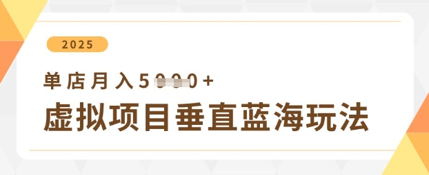 虚拟项目垂直玩法，实现单店月入5k+-乐码云集