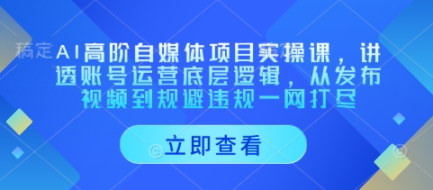 AI高阶自媒体项目实操课，讲透账号运营底层逻辑，从发布视频到规避违规一网打尽-乐码云集