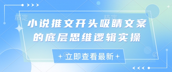 小说推文开头吸睛文案的底层思维逻辑实操-乐码云集