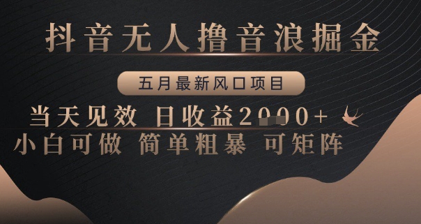 抖音无人撸音浪掘金，五月最新风口项目，当天见效，日收益多张，小白可做简单粗暴可矩阵【揭秘】-乐码云集