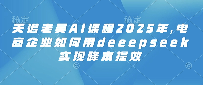 天诺老吴AI课程2025年，电商企业如何用deeepseek实现降本提效-乐码云集
