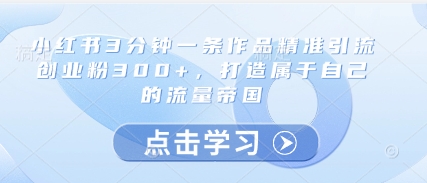 小红书3分钟一条作品精准引流创业粉300+，打造属于自己的流量帝国-乐码云集