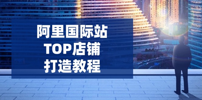 阿里国际站TOP店铺打造教程：涵盖平台到高阶，解决运营难题，提升询盘-乐码云集