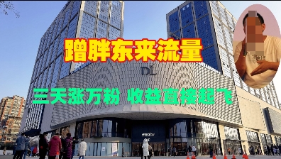 蹭胖东来流量，三天涨万粉，收益直接起飞-乐码云集