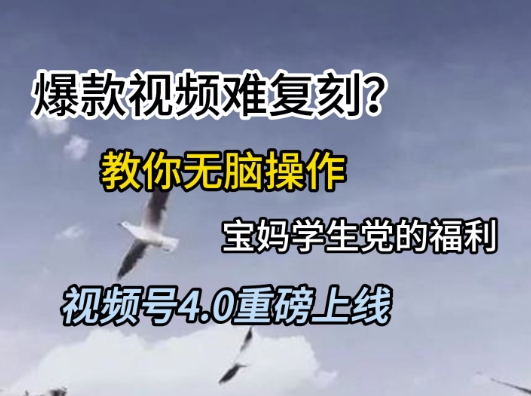 视频号4.0重磅上线，爆款视频难复刻？教你无脑操作宝妈学生党的福利【揭秘】-乐码云集