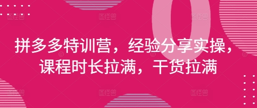 拼多多特训营，经验分享实操，课程时长拉满，干货拉满(更新25年4月)-乐码云集