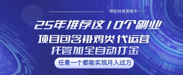 25年推荐这10个副业项目包含褂鸡类、代运营托管类、全自动打金类【揭秘】-乐码云集