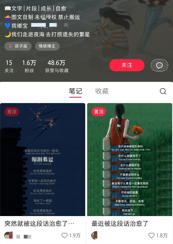 小红书治愈文案图文笔记,零门槛,一分钟制作轻松制作爆款作品月入万元-乐码云集