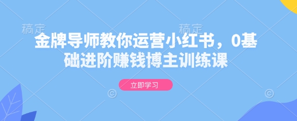 金牌导师教你运营小红书，0基础进阶赚钱博主训练课-乐码云集
