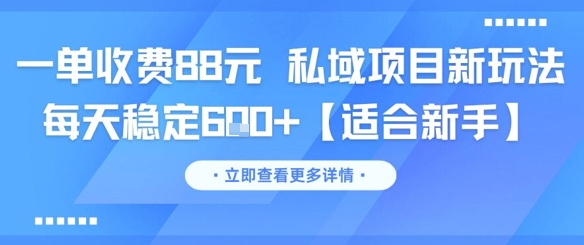 一单收费88元 私域项目新玩法 每天稳定6张+【适合新手】-乐码云集