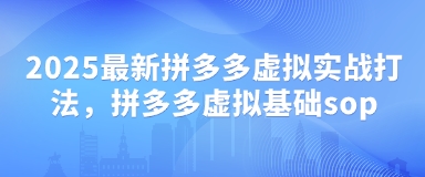2025最新拼多多虚拟实战打法，拼多多虚拟基础sop-乐码云集