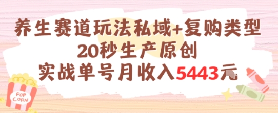 养生赛道玩法私域+复购类型，20秒生产原创实战单号月收入5k+-乐码云集