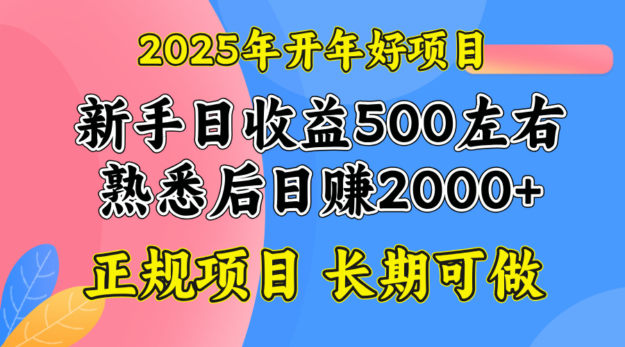 2025开年好项目，单号日收益2000左右-乐码云集