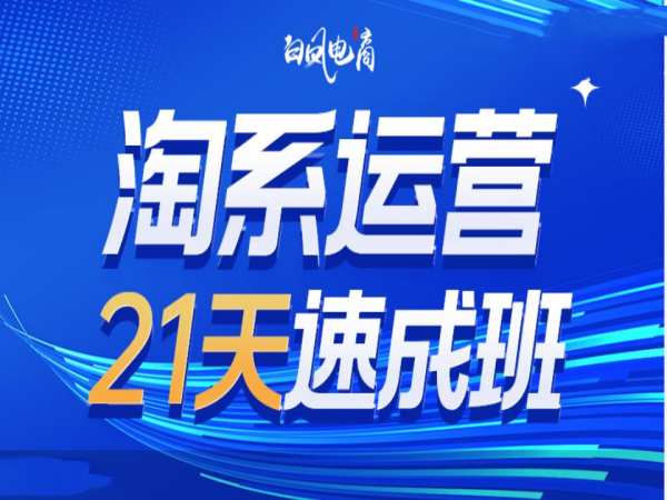 淘系运营21天速成班35期，年前最后一波和2025方向-乐码云集