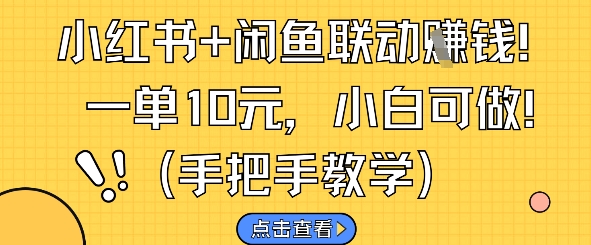 小红书+闲鱼联动挣钱，一单10元，小白可做-乐码云集