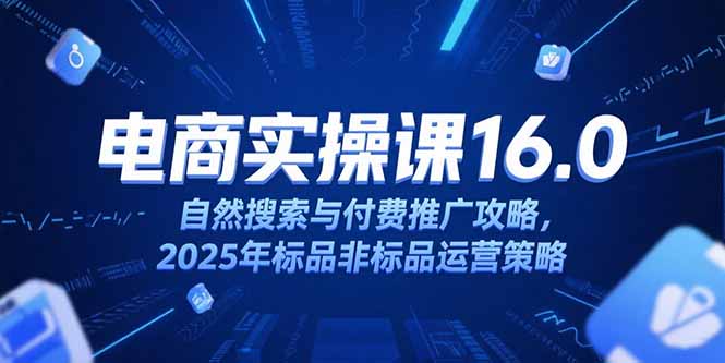 淘宝电商运营课16.0，自然搜索与付费推广攻略，2025年标品非标品运营策略-乐码云集