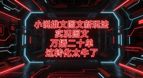 小说推文图文新玩法，实况图文，万播二十单，这转化太牛了！-乐码云集