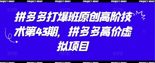 拼多多打爆班原创高阶技术第43期，拼多多高价虚拟项目-乐码云集