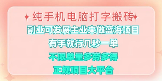 纯手机电脑打字搬砖，有手就行，几秒一单，多劳多得，正规项目大平台【揭秘】-乐码云集