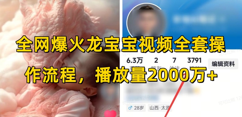 全网爆火龙宝宝视频全套操作流程，播放量2000万+-乐码云集