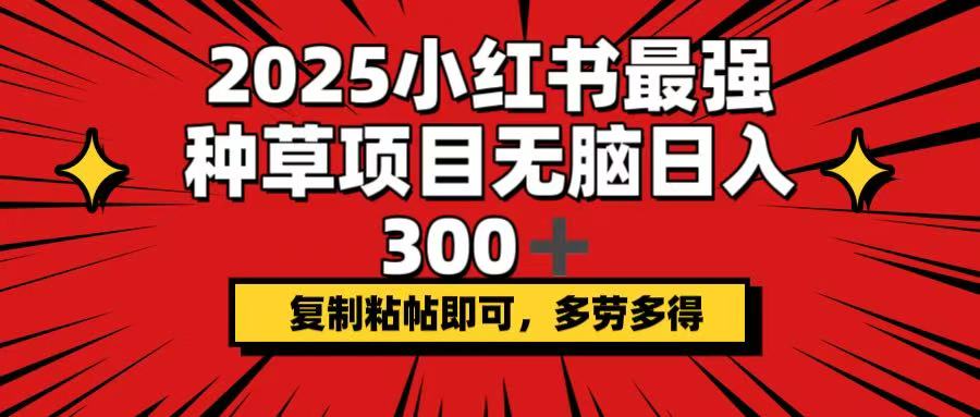 2025小红书最强种草项目，无脑日入300+，复制粘帖即可，多劳多得-乐码云集