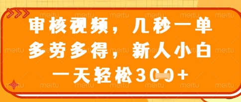 视频审核员，几秒一单，不限时间，不限地点，多做多得，新人小白一天轻松几张+【揭秘】-乐码云集